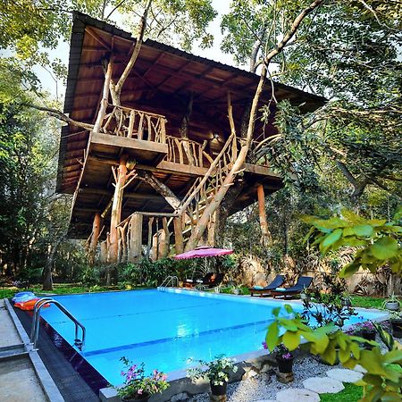 Lotus Eco Villa Sigiriya Exteriér fotografie