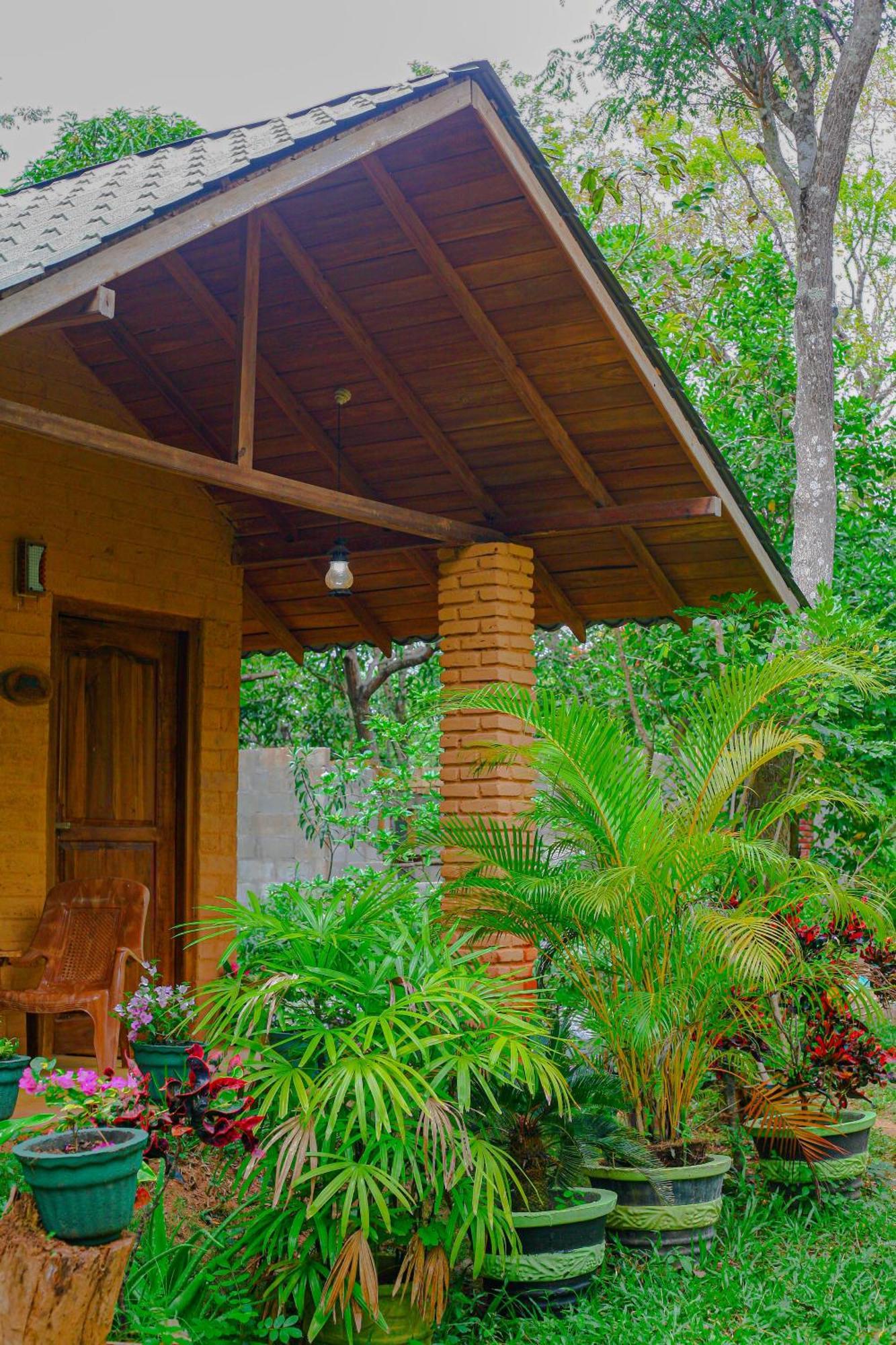 Lotus Eco Villa Sigiriya Exteriér fotografie