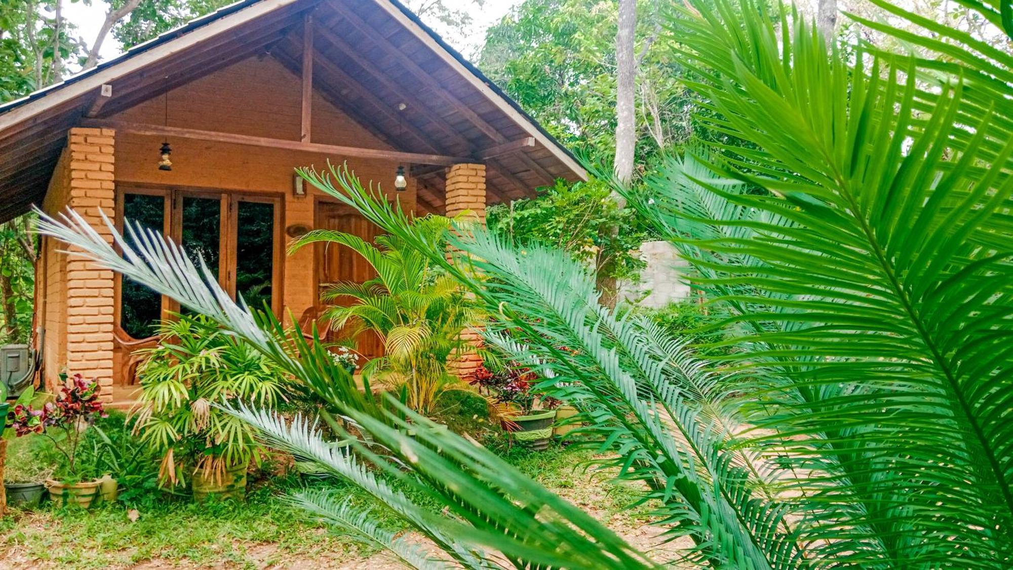 Lotus Eco Villa Sigiriya Exteriér fotografie