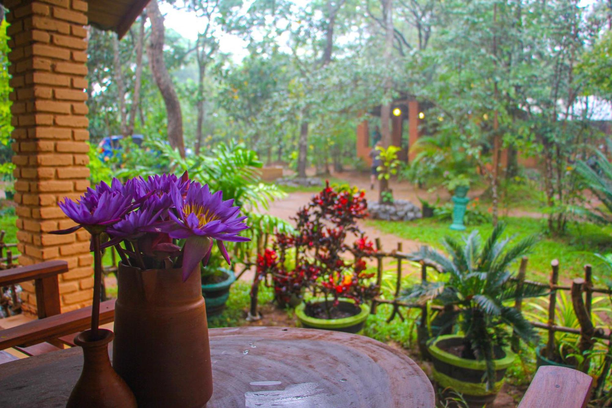Lotus Eco Villa Sigiriya Exteriér fotografie
