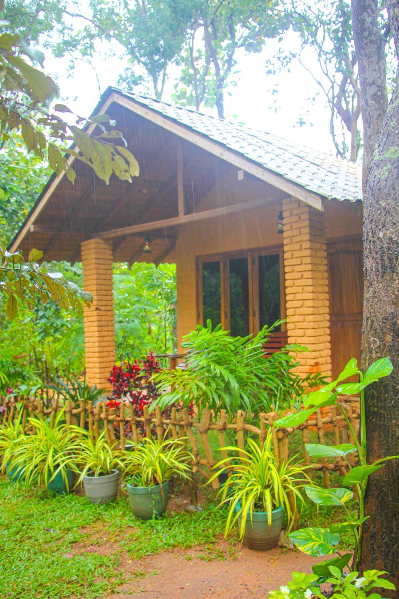 Lotus Eco Villa Sigiriya Exteriér fotografie